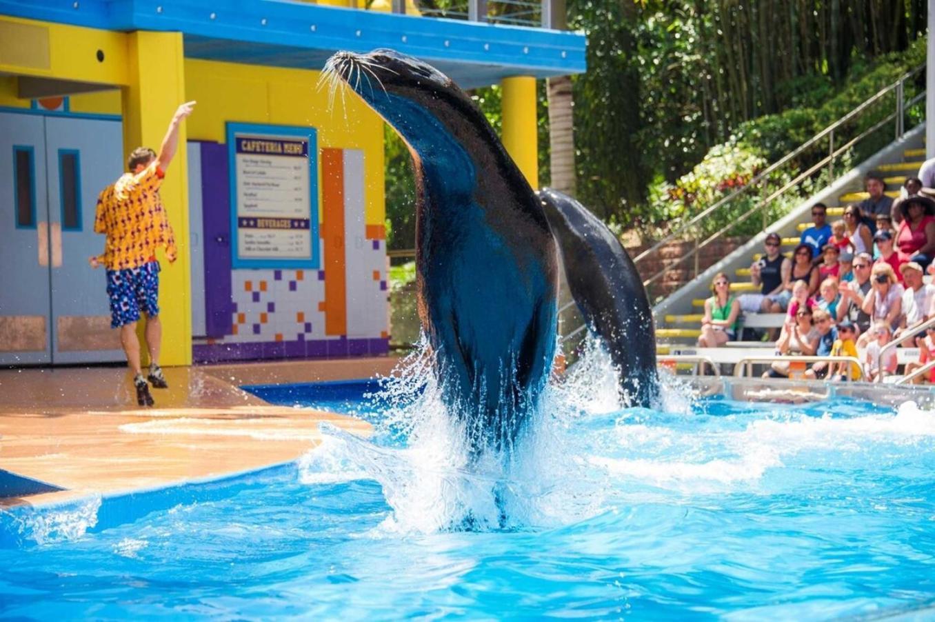 Superb House By Seaworld, Private Pool & Gameroom San Antonio Buitenkant foto